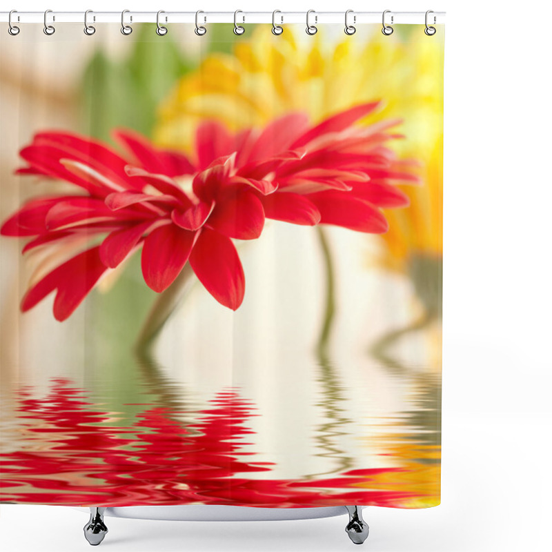 Personality  Red Daisy-gerbera With Soft Focus Reflected In The Water Shower Curtains