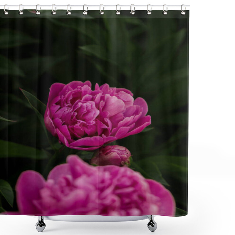 Personality  A Stunning Close-up Of A Pink Peony Flower In Full Bloom, Showcasing Its Soft Petals And Intricate Details. A Perfect Symbol Of Elegance And Natural Beauty. Shower Curtains