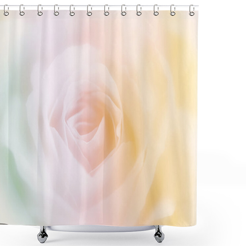 Personality  Beautiful Rose Flower On Blur Background Shower Curtains