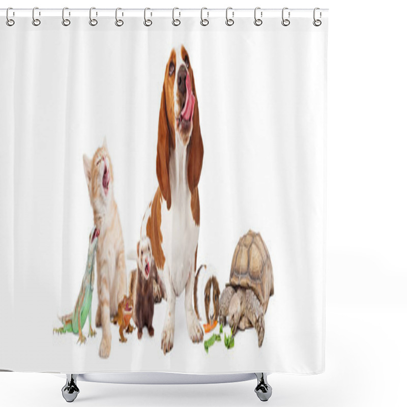 Personality  Group Of Hungry Domestic Pets Shower Curtains