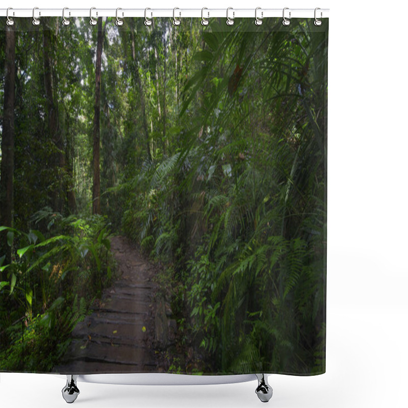 Personality  Tropical Rain Forest In Asia Shower Curtains