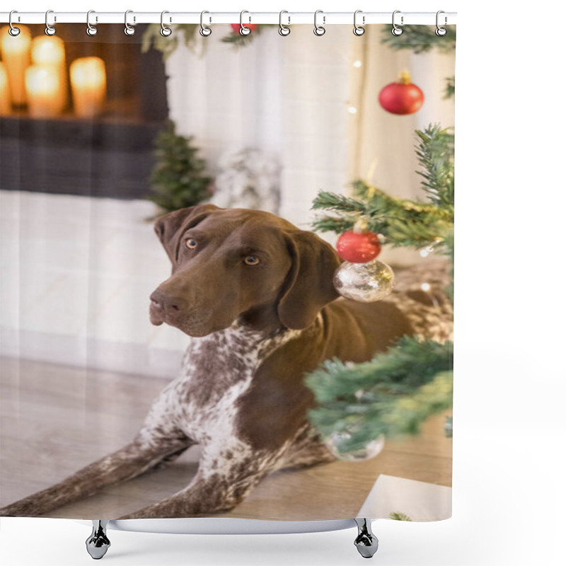 Personality  Dog Laying Under The Christmas Tree Shower Curtains