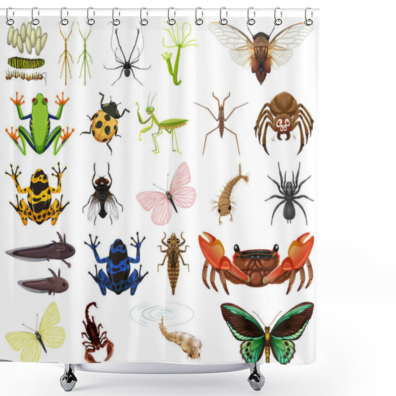 Personality  Different Kinds Of Insects And Animals On White Background Illustration Shower Curtains