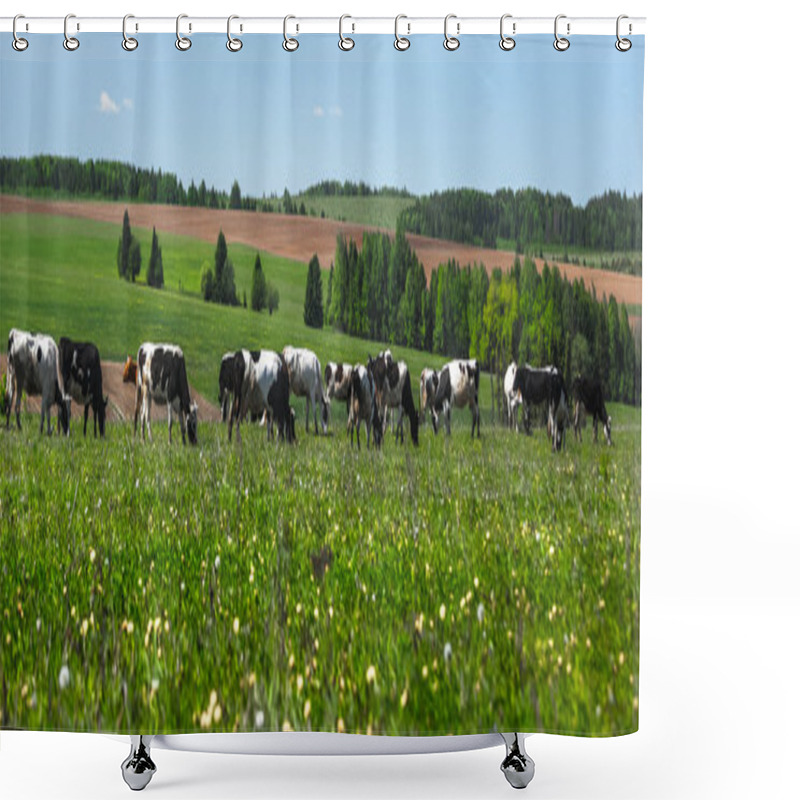 Personality  Cows Grazing On The Meadow  Shower Curtains