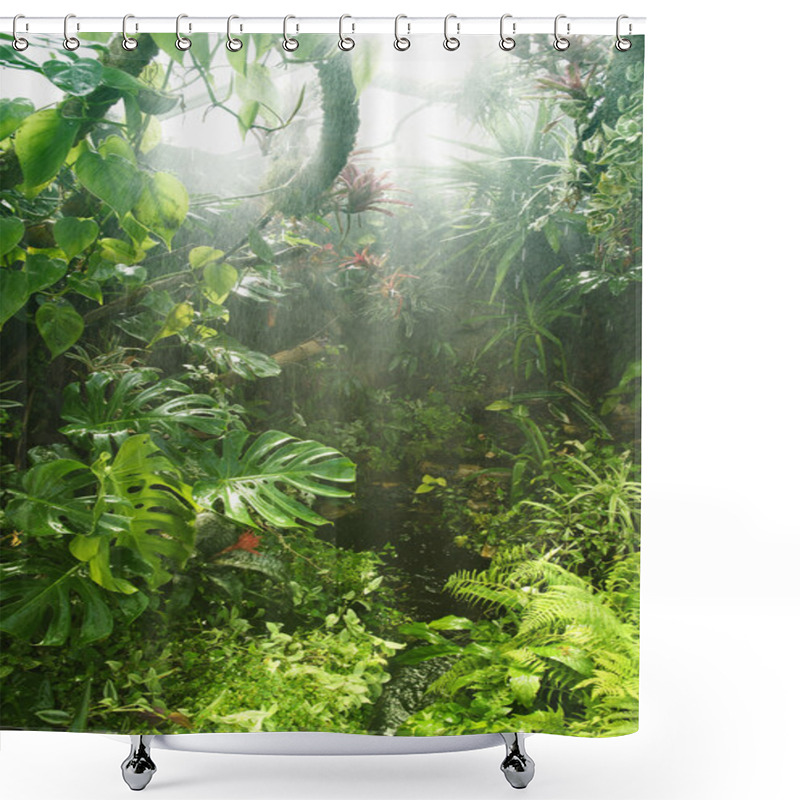 Personality  Tropical Rainforest Shower Curtains