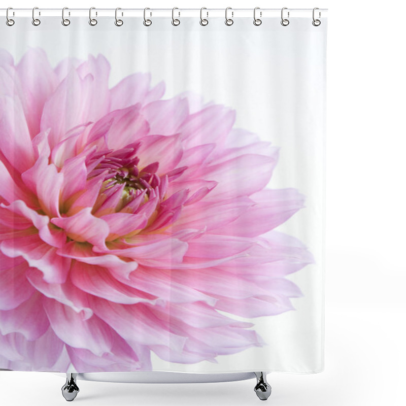 Personality  Pink Dahlia, Flower Shower Curtains