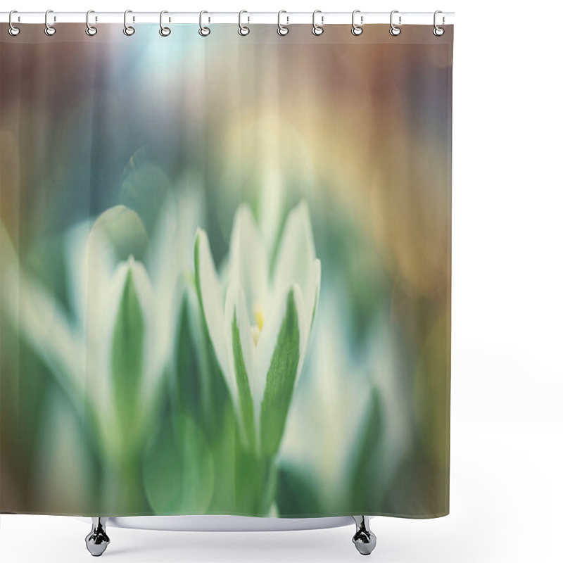 Personality  Snowdrops In Spring Season Shower Curtains