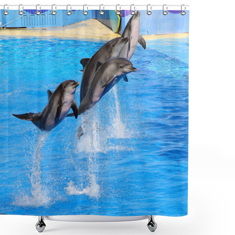 Personality  Dolphins Jumping High From Blue Water Shower Curtains