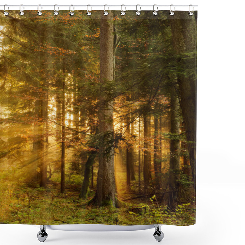 Personality  Black Forest Shower Curtains