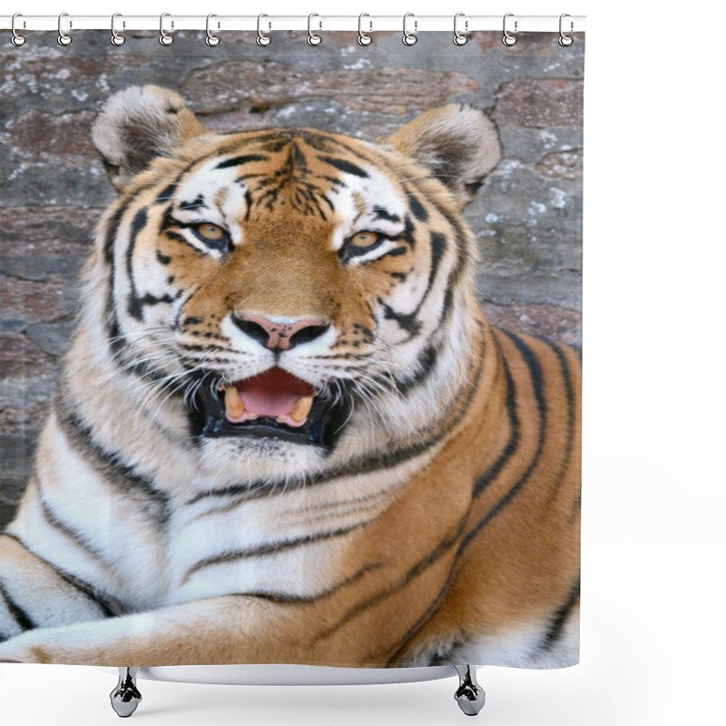 Personality  Tiger 2 Shower Curtains