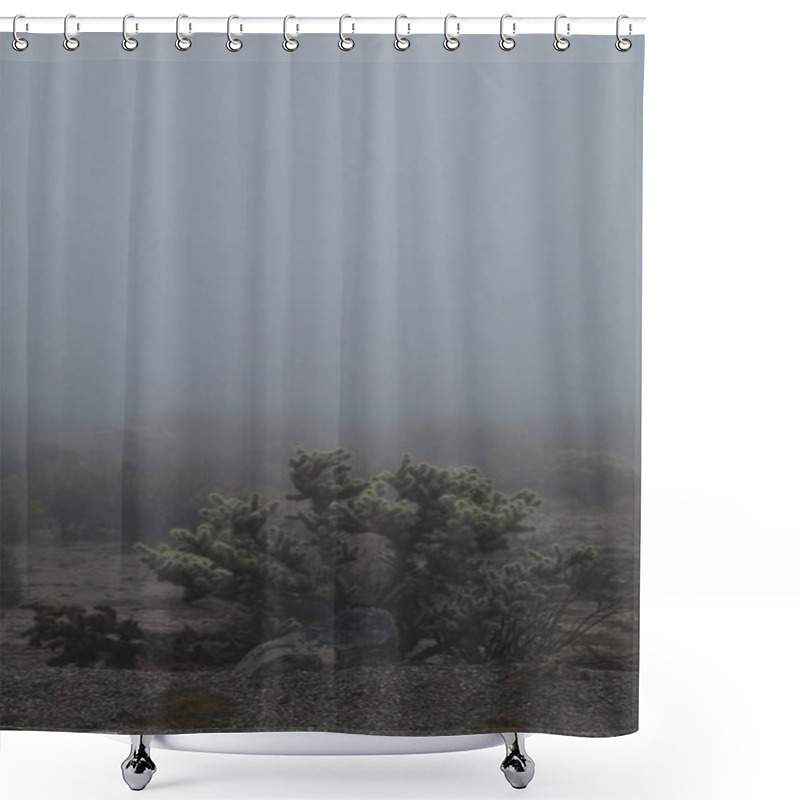 Personality  Foggy Desert Landscape With Cactus In The Foreground. Shower Curtains