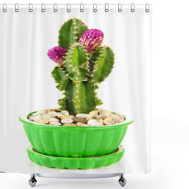 Personality  Cactus In Flowerpot With Flowers, Isolated On White Shower Curtains