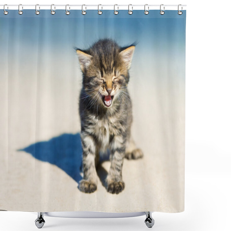 Personality  Little Kitten Staying On The Sandy Road Shower Curtains