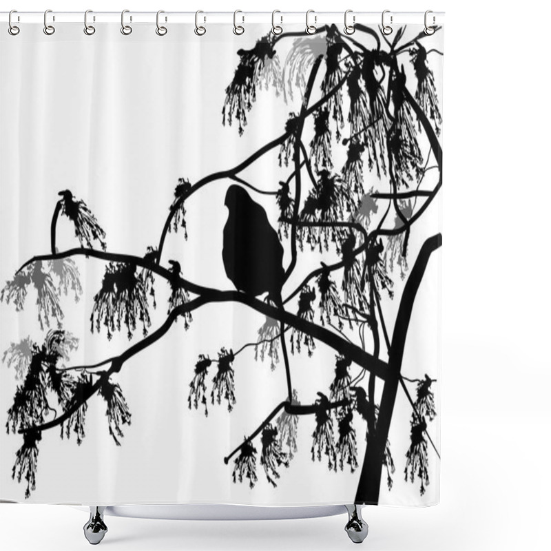 Personality  Bird On Blossoming Tree Branch Shower Curtains