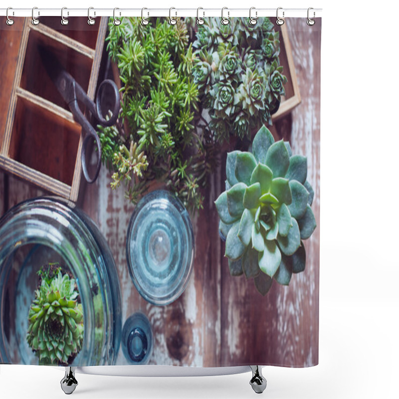 Personality  House Plants Shower Curtains