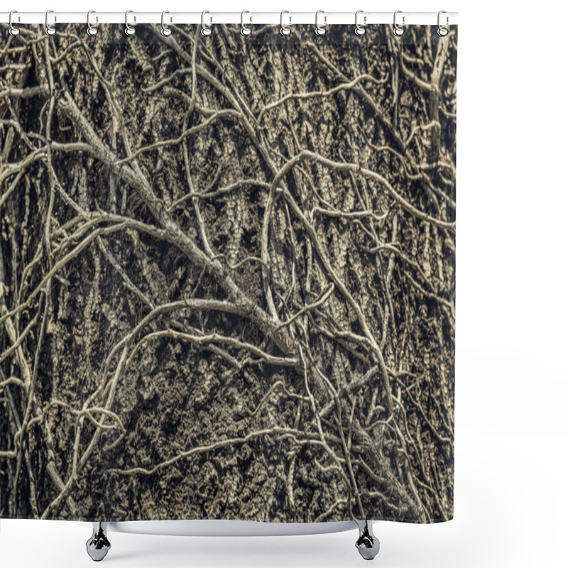 Personality  Twining Leafless Creeping Branches Shower Curtains