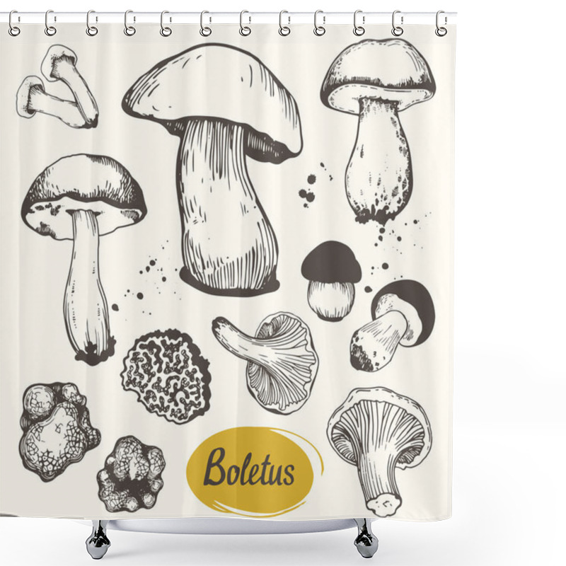 Personality  Vector Illustration With Set Of Mushrooms In Sketch Style. Hand-drawn Milk Caps, Chanterelle, Illustration, Morel And Gyromitra On White Background. Autumn Forest Harvest. Shower Curtains