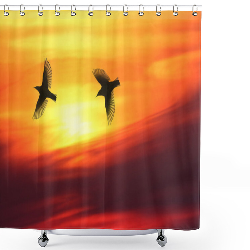 Personality  Bird Lovers Shower Curtains