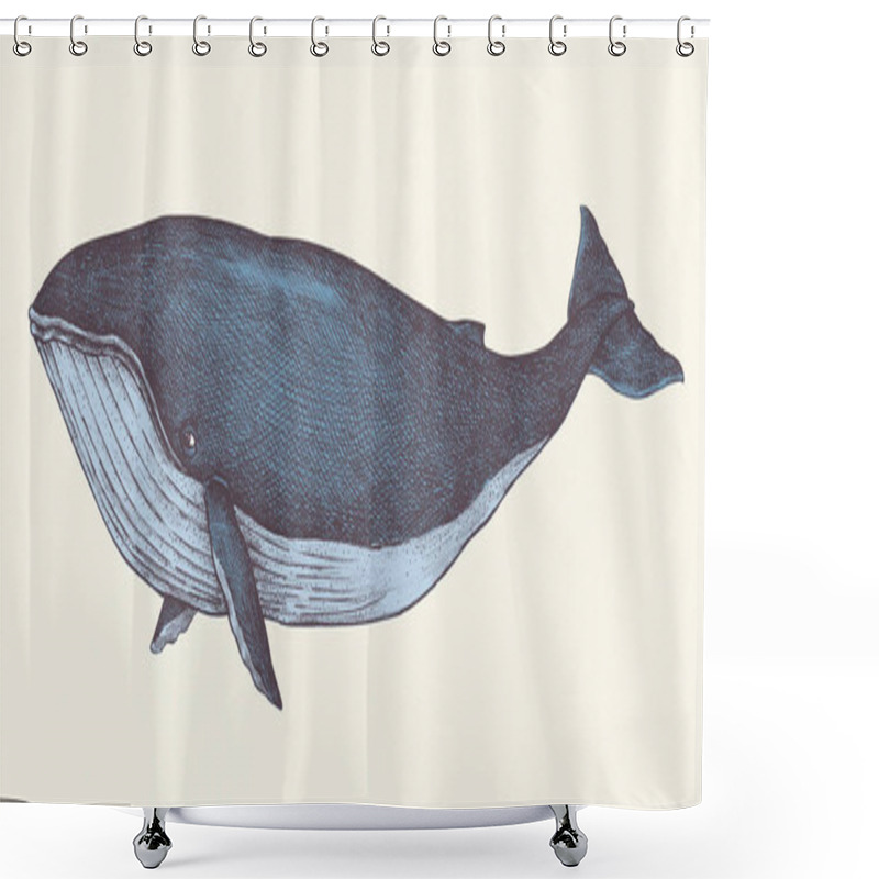 Personality  Hand Drawn Blue Whale Retro Style Shower Curtains