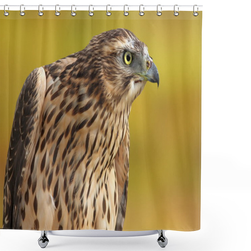 Personality  Accipiter Nisus Over Out Of Focus Background Shower Curtains