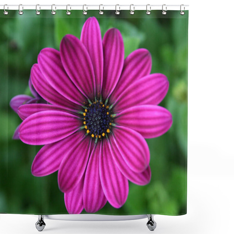 Personality  Beautiful Botanical Shot, Natural Wall Shower Curtains