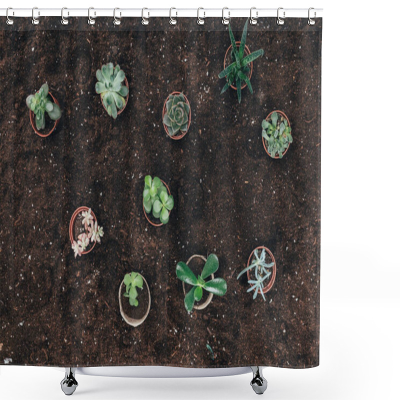 Personality  Top View Of Beautiful Green Potted Plants On Ground Shower Curtains