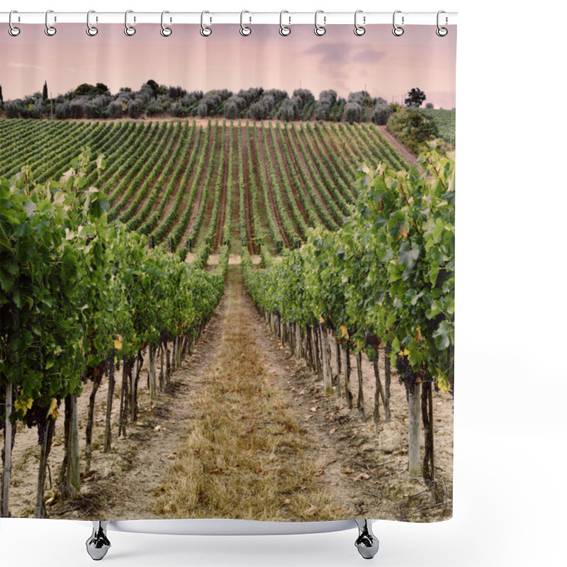 Personality  Vine And Olive Shower Curtains