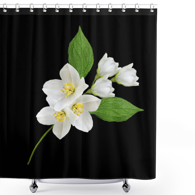 Personality  Branch Of Jasmine Flowers Isolated On White Background Shower Curtains