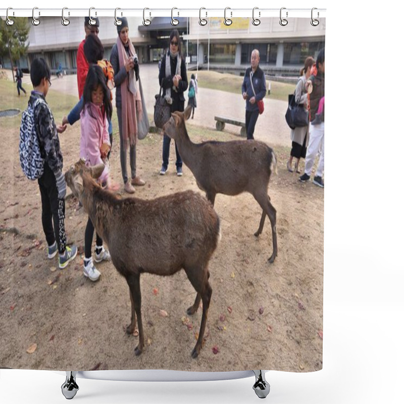 Personality  NARA, JAPAN - NOVEMBER 23, 2016: Tourists Feed The Sacred Deer In Nara Park, Japan. Local Tradition Says That Nara Deer Were Sacred Due To A Visit Of Takemikazuchi, Thunder God. Shower Curtains