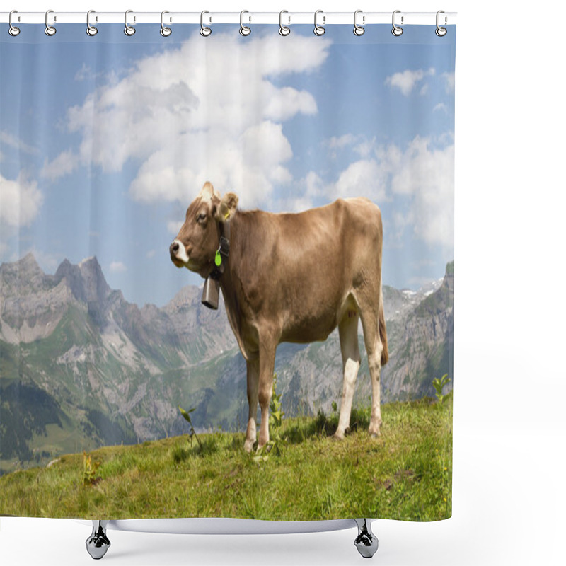 Personality  Swiss Cow In Nature Shower Curtains