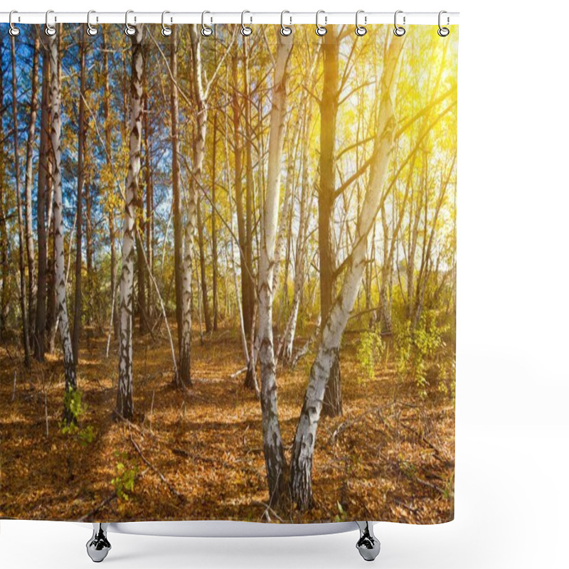 Personality  Quiet Autumn Birch Grove Shower Curtains