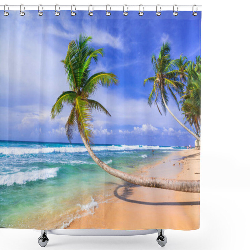 Personality  Tropical Holidays In Sri Lanka. Beautiful Wild Palm Beach Shower Curtains