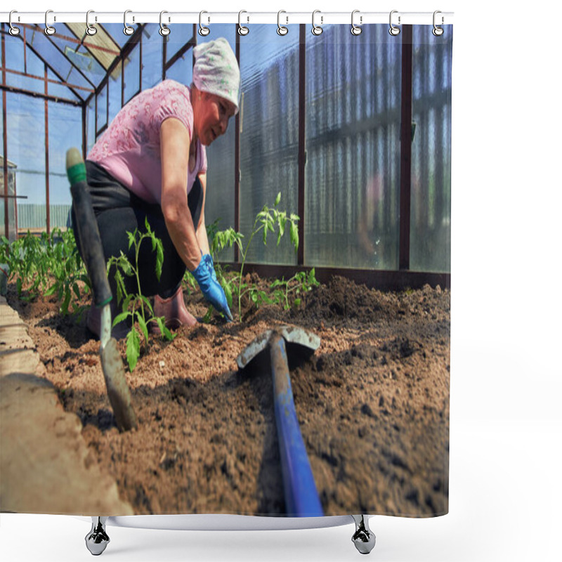 Personality  The Farmer Is Engaged In A Kitchen Garden. The Concept Of Organic Farming And Spring Gardening. Shower Curtains