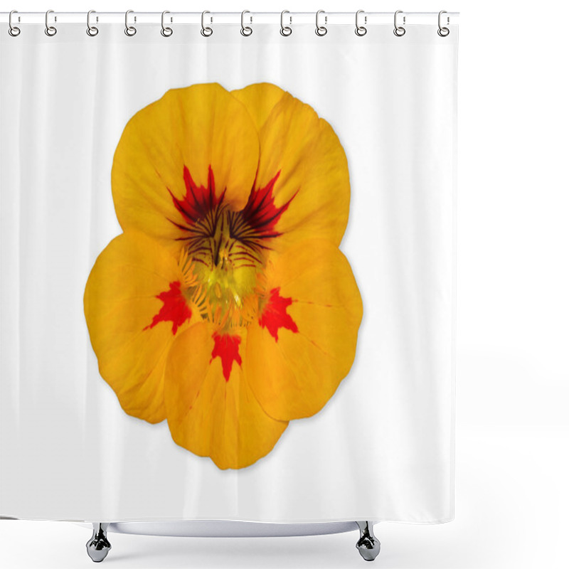 Personality  Yellow Nasturtium Flower Shower Curtains