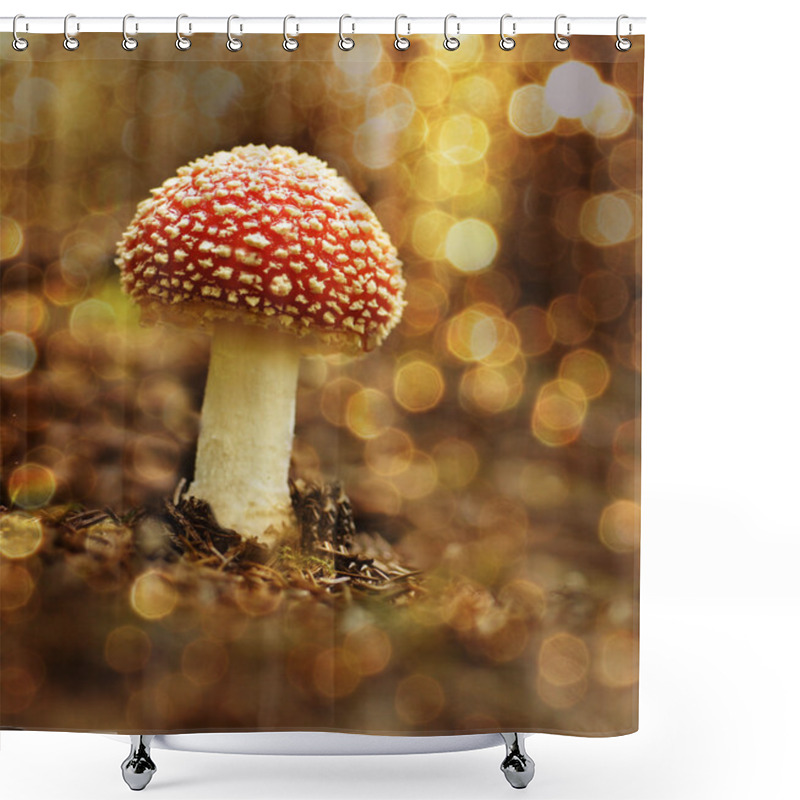 Personality  Mushroom In The Forest In Sunset Shower Curtains