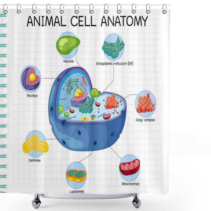 Personality  Anatomy Of Animal Cell (Biology Diagram) Illustration Shower Curtains