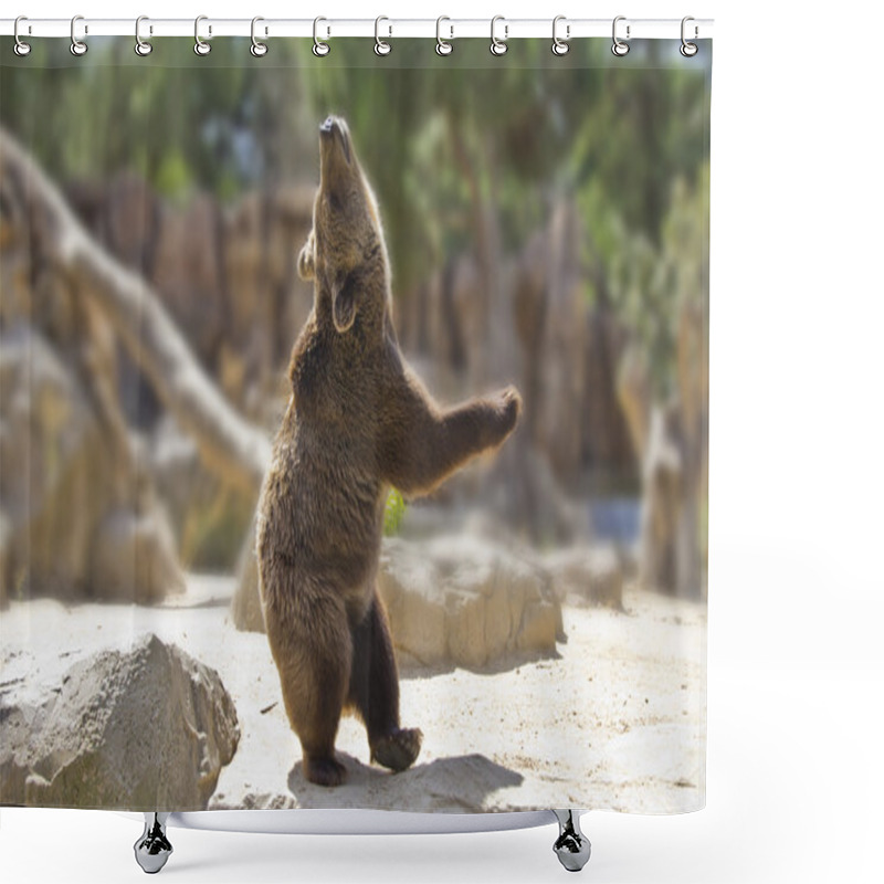 Personality  Great Happy Dancing Bear Shower Curtains