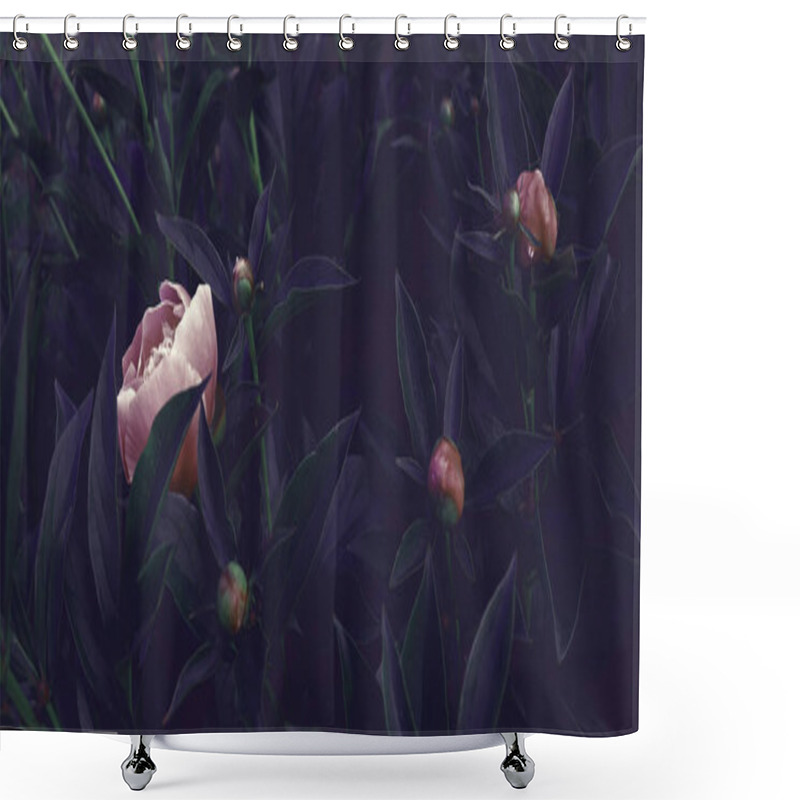 Personality  Floral Banner Concept. Natural Peonies, White Roses Isolated On Background. Dark Natural Banner Concept Shower Curtains