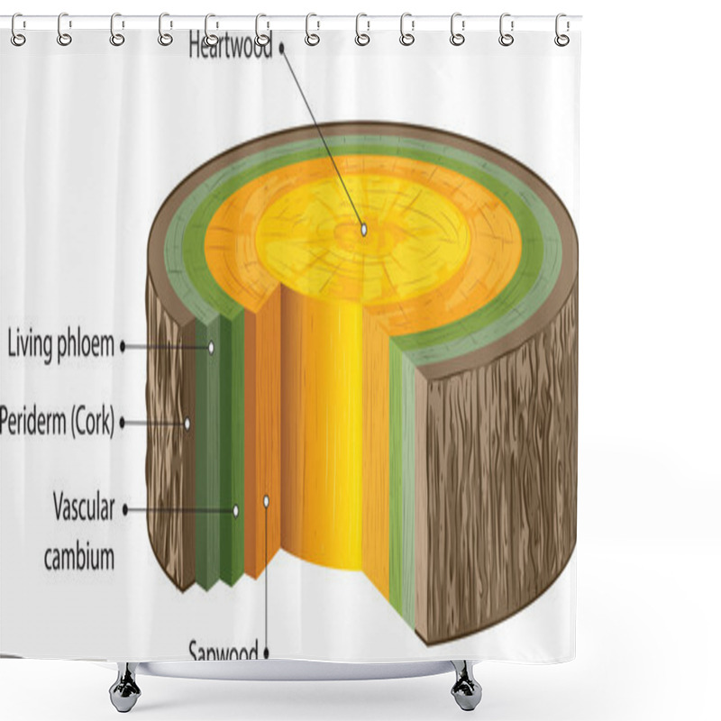 Personality  Woody Stems Shower Curtains