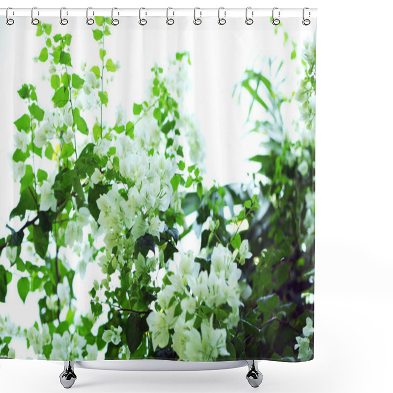 Personality  White Flowers And Green Leaves, Closeup Shower Curtains