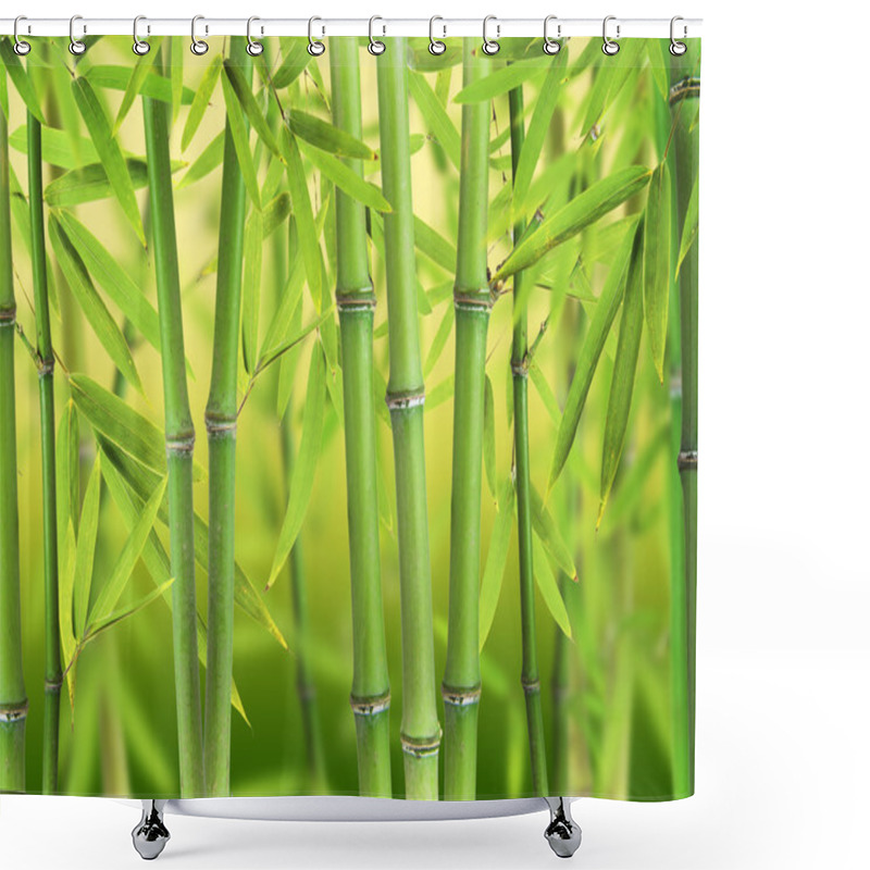 Personality  Bamboo Forest Shower Curtains