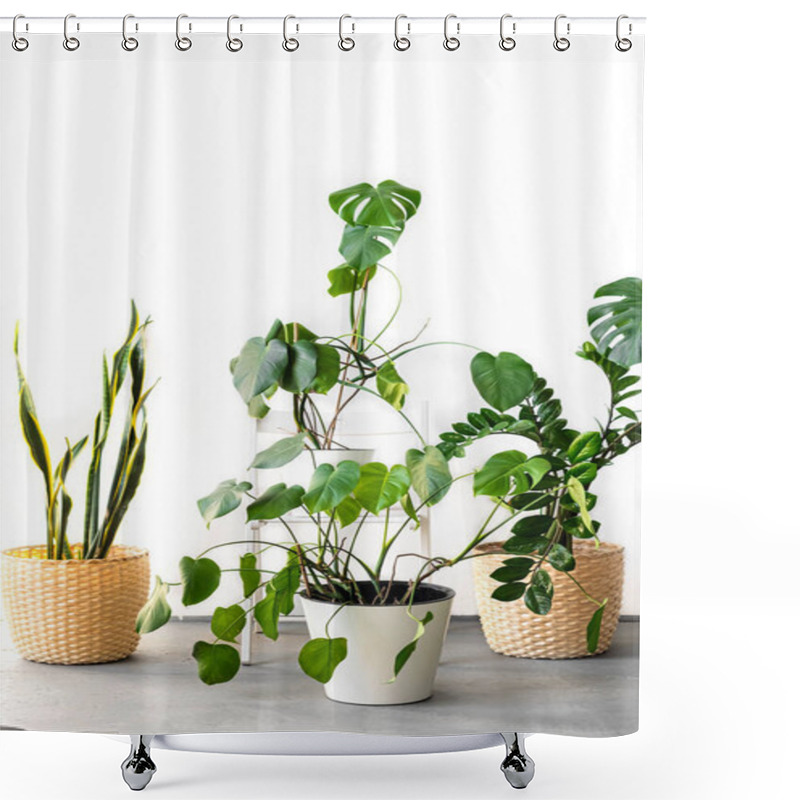 Personality  The Stylish Space Is Filled With Many Modern Green Plants With Various Pots. Modern Home Garden Composition. Stylish And Minimalistic Urban Jungle Interior. Botany Home Decor With A Lot Of Plants. Shower Curtains