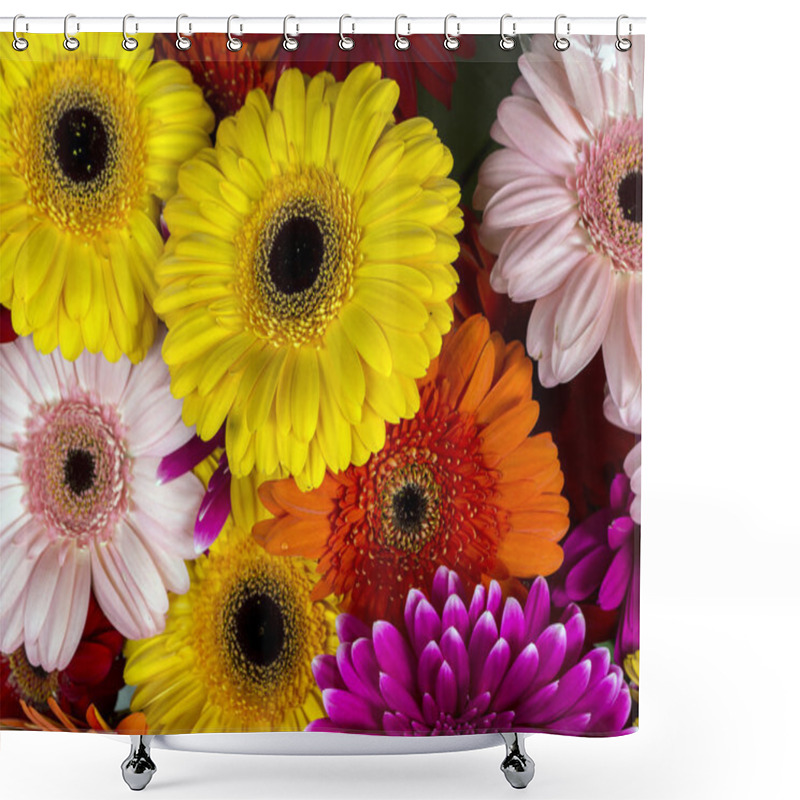 Personality  Gerbera Jamesonii Daisy Shower Curtains