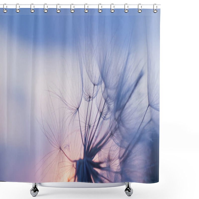 Personality  Silhouette Of Fluffy Dandelion Flower On Sunset Sky Shower Curtains