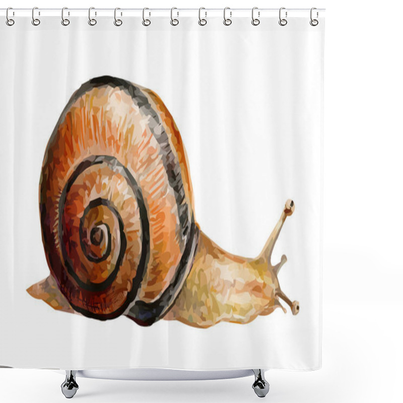 Personality  Illustration Of Snail On White Background Shower Curtains