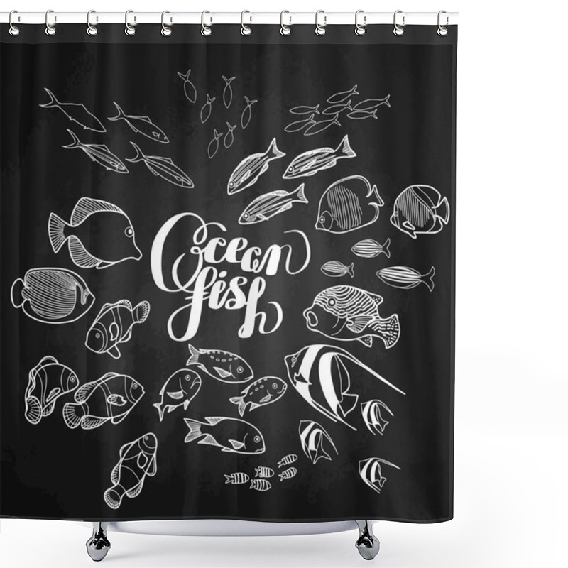 Personality  Collection Of  Ocean Fish Shower Curtains