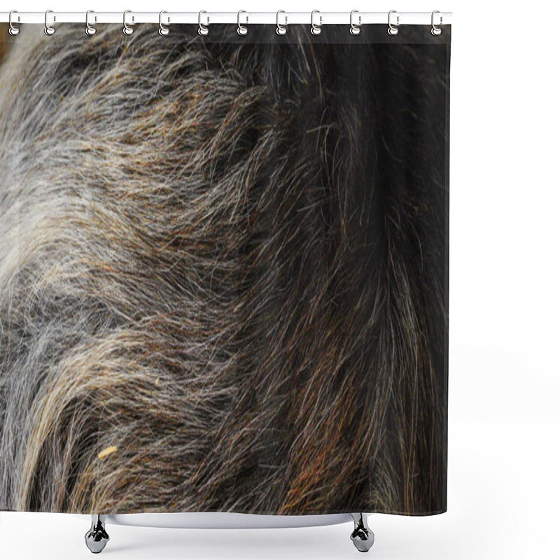 Personality  Background And Texture Of Animal Fur. Extreme Close-up Of Goat's Fur. A Fluffy, Soft Warm Coat Protects This Farm Animal From The Cold. Beautiful Shades Of Grey, Brown, White And Cream Shower Curtains