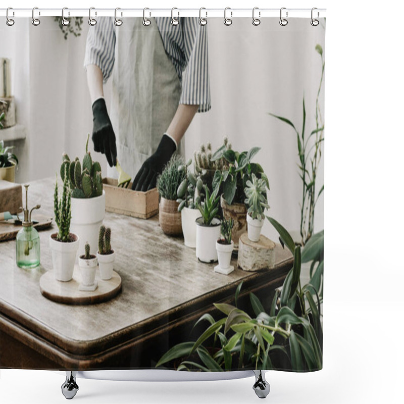 Personality  Close View Of Woman Replanting Succulents In Pots At Home Shower Curtains