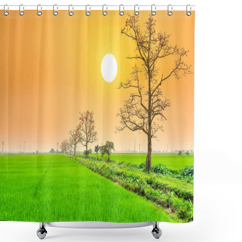 Personality  Beautiful Bombax Ceiba Tree Blooms In Spring Sunset Sky. This Flower Works As A Medicine To Treat Inflammation, Detoxification, Antiseptic, Blood Circulation Is Very Useful For Human Health Shower Curtains