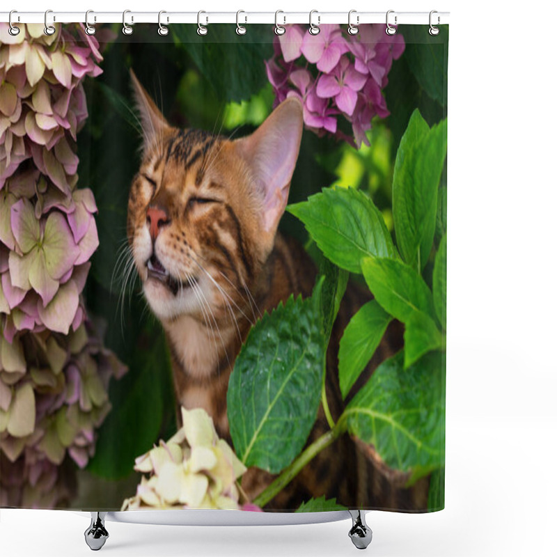 Personality  Beautiful Young Bengal Cat In The Garden Shower Curtains